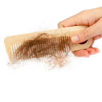 Bekämpft Haarausfall mit Ihren Kunden mit der neuesten Therapie von Pro Haarcare